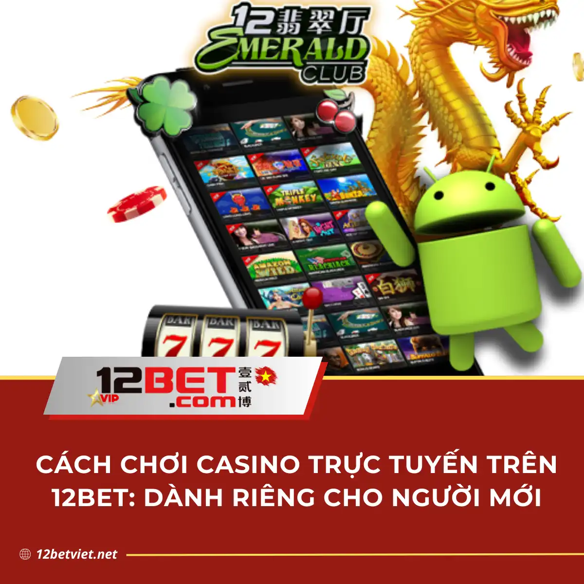 Hướng dẫn chơi Casino trực tuyến tại 12Bet dành cho người mới